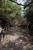 coppercanyon-776.jpg