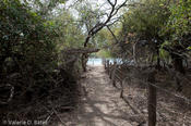 coppercanyon-777.jpg