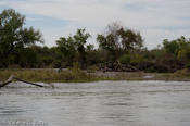 coppercanyon-810.jpg