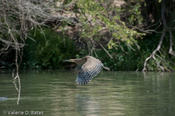 coppercanyon-837.jpg