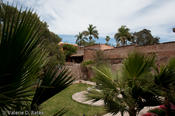 coppercanyon-853.jpg
