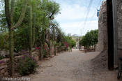 coppercanyon-889.jpg