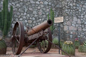 coppercanyon-892.jpg