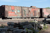 coppercanyon-992.jpg