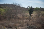 coppercanyon-1007.jpg
