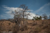 coppercanyon-1016.jpg