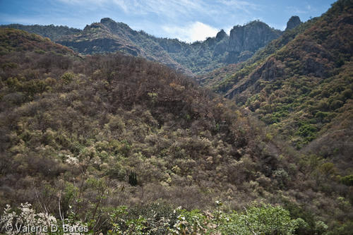 coppercanyon-1086.jpg