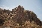 coppercanyon-1110.jpg