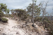 coppercanyon-1169.jpg