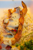 20091101_shrimpcookoff-26.jpg