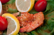 20091101_shrimpcookoff-28.jpg