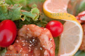 20091101_shrimpcookoff-29.jpg