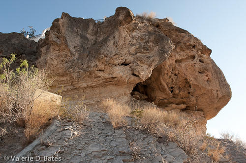 20090307_santomadero-15.jpg