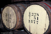 20090307_santomadero-88.jpg