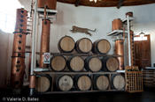 20090307_casamadero-5.jpg