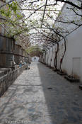 20090307_casamadero-23.jpg