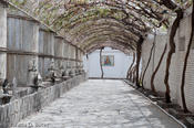 20090307_casamadero-25.jpg