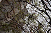 20090307_casamadero-27.jpg