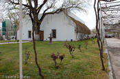 20090307_casamadero-43.jpg