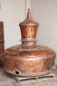 20090307_casamadero-52.jpg