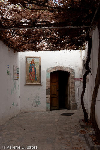 20090307_casamadero-66.jpg