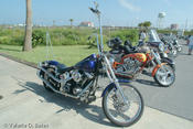 20031011_spibikefest-118.jpg