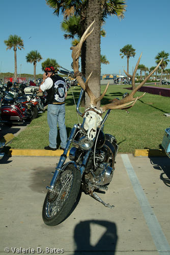 20041015_spibikefest-213.jpg