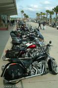 20041014_spibikefest-106.jpg