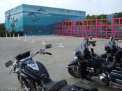 20051013_spibikefest-101.jpg