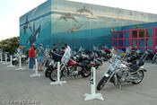 20051013_spibikefest-162.jpg