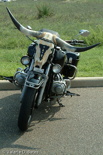 20051015_spibikefest-130.jpg