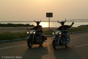 20051015_spibikefest-222.jpg