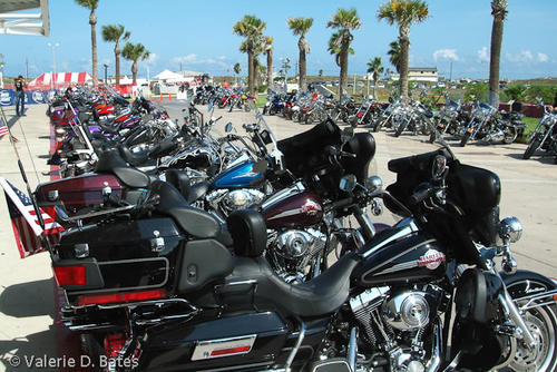 20061012_spibikefest-131.jpg