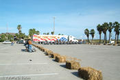 20061012_spibikefest-167.jpg