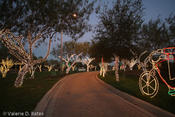 Hidalgo, Tx. Decorates for Christmas