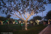 Hidalgo, Tx. Decorates for Christmas