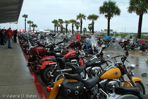 20061014_spibikefest-109.jpg