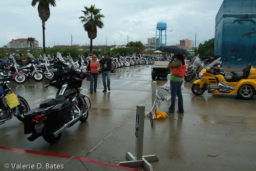 20061014_spibikefest-110.jpg