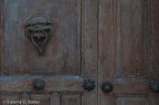 20090307_parras-3.jpg