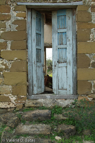 DSCF7816.jpg