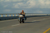 20071013_spibikefest-316.jpg