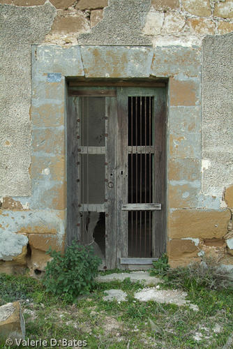 DSCF7858.jpg