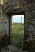 DSCF7869.jpg