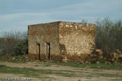 DSCF7884.jpg
