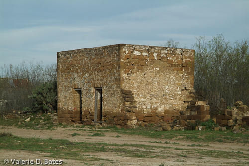 DSCF7884.jpg