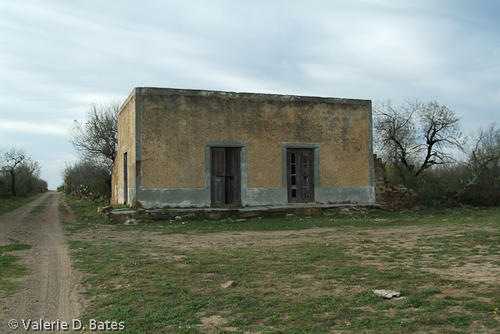 DSCF7886.jpg