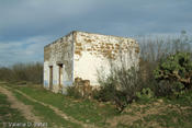 DSCF7889.jpg