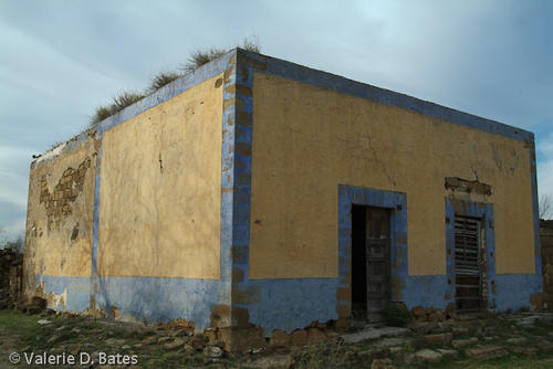 DSCF7893.jpg
