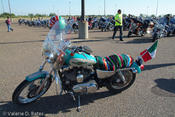 20081010_spibikefest-139.jpg
