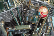 20081010_spibikefest-215.jpg